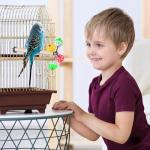 Bird Perch Toy with Rotating Balls for Fun