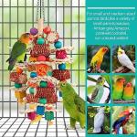 Natural Corn Cob Parrot Chew Toys with Blocks