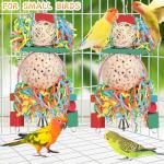 2PCS Natural Sola Ball Bird Chew Toys