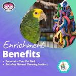 Large Refillable Bagel Cascade Bird Toy