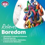 Large Refillable Bagel Cascade Bird Toy