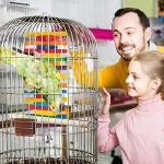 Colorful Wooden Bird Toys for Small Parrots