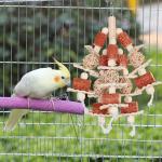 Natural Corn Stick Bird Toys for Parrots