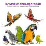 Large Parrot Toy for Macaws and Grey Parrots