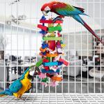 Deloky Multicolored Wooden Chew Toy for Birds