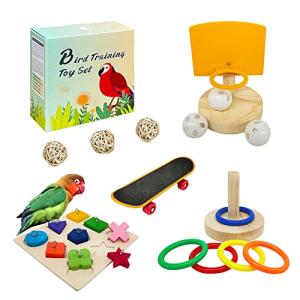 Fun Bird Toys Set for Parakeets - 5 Pieces