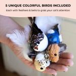 Whiskertons Interactive Bird Cat Toy Set