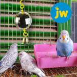 JW Pet Disco Ball Bird Toy - Colors Vary