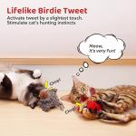 Chirping Bird Cat Toys with Catnip - 2 Pack