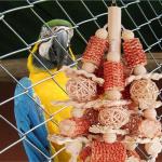 Natural Corn Stick Bird Toys for Parrots