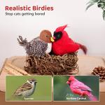 Chirping Bird Cat Toys with Catnip - 2 Pack