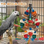 Fun Bird Toys for Parakeets and Cockatiels