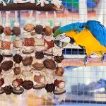 Deloky Extra Large Natural Wooden Parrot Toy