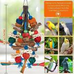 Fun Bird Toys for Parakeets and Cockatiels