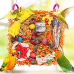 Fun Foraging Bird Toys for Small Parrots