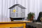 Parakeet Manor Bird Cage with Handle, Black