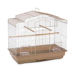 Brown and White Barn Style Bird Cage