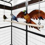 Large Outdoor Bird Cage for Parakeets and Parrots