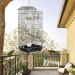 Large 39-Inch Bird Cage for Parrots and Budgies