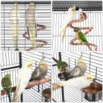 Rolling 69-inch Wrought Iron Large Bird Cage
