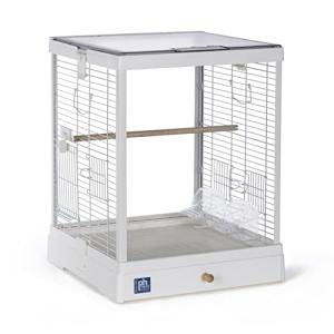 Clear View Glass Bird Cage for Small Birds
