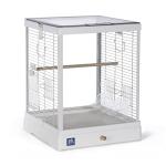 Clear View Glass Bird Cage for Small Birds