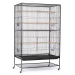 X-Large Wrought Iron Flight Cage for Pets
