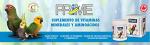 Prime Vitamin and Mineral Supplement for Birds