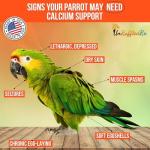 UnRuffledRx Bird Calcium Plus with Magnesium and D3
