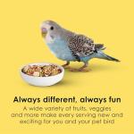 Kaytee Fiesta Nutritious Parakeet Food Blend 4.5 lbs