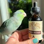 Hemp Oil for Birds – 2 Ounces