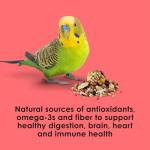 Kaytee Fiesta Nutritious Parakeet Food Blend 4.5 lbs