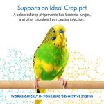 HealthyGut™ Probiotics for Parrots - 120 Servings