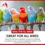 Vitalize Supplement for Stressed & Sick Birds