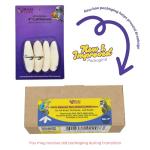 Natural Cuttlebone 4-Pack for Birds and Pets
