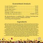 Kaytee Fiesta Nutritious Parakeet Food Blend 4.5 lbs