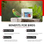 Vitalize Supplement for Stressed & Sick Birds