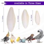 Natural Cuttlebone 4-Pack for Birds and Pets