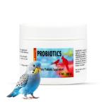 Morning Bird Probiotics Powder for Digestive Health