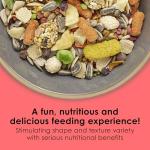 Kaytee Fiesta Conure Food - Nutritious Fun Blend