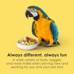 Kaytee Fiesta Macaw Food for Complete Health