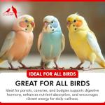 Morning Bird Probiotics Powder for Digestive Health
