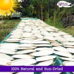 Natural Cuttlebone 4-Pack for Birds and Pets