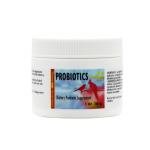 Morning Bird Probiotics Powder for Digestive Health