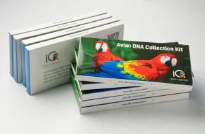 Bird DNA Gender Test Kit for Easy Gender Reveal
