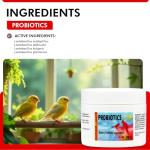 Morning Bird Probiotics Powder for Digestive Health