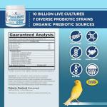 Flora Bird Probiotic Powder for Digestive Health