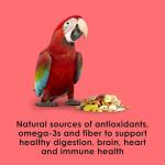Kaytee Fiesta Macaw Food for Complete Health