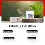 Morning Bird Probiotics Powder for Digestive Health