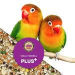 Hookbill Bird Food 5 lbs - Nutrient-Rich Seeds
